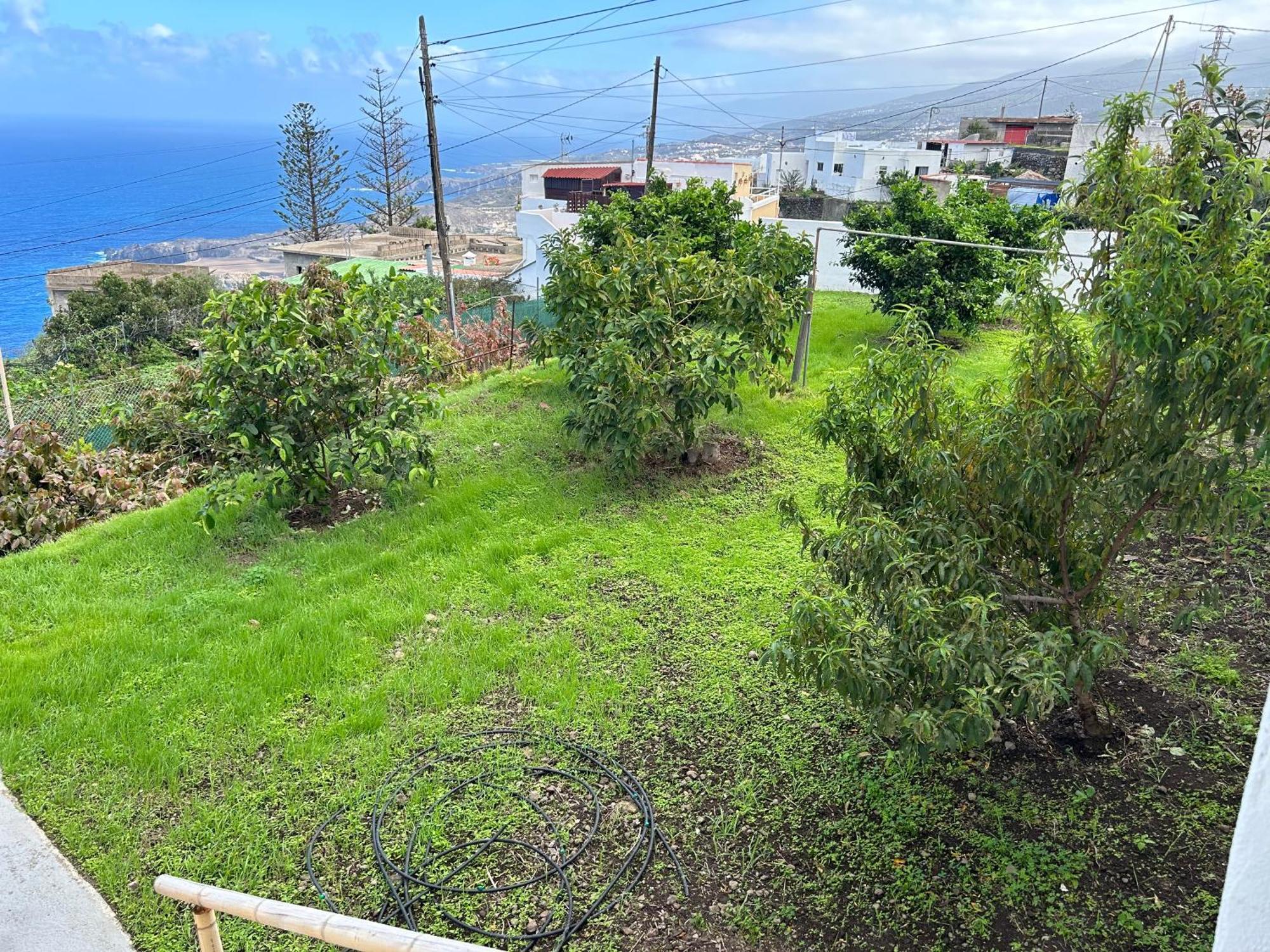 Appartamento Casa La Oliva Garachico  Esterno foto
